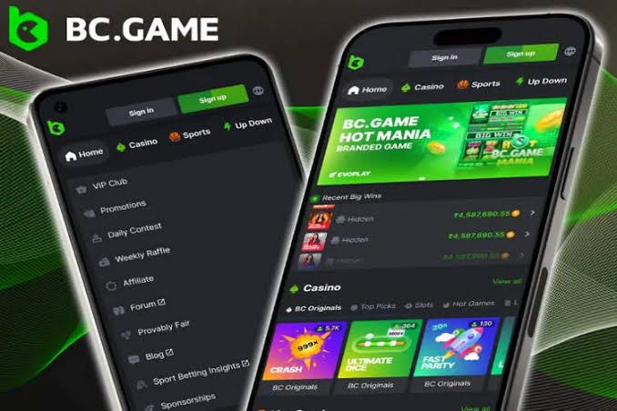 BC.Game Mirror Access Your Gateway to Uninterrupted Gaming BC.Game Mirror Access Your Gateway to Uninterrupted Gaming